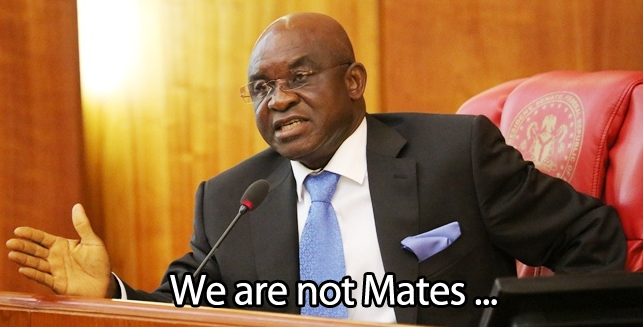 David Mark meme