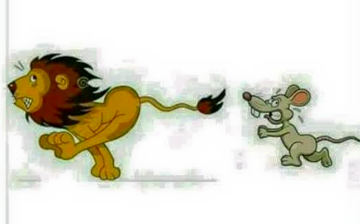 rat chasing lion