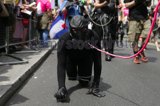 dog costume