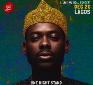 One night stand with Adekunle Gold, concert