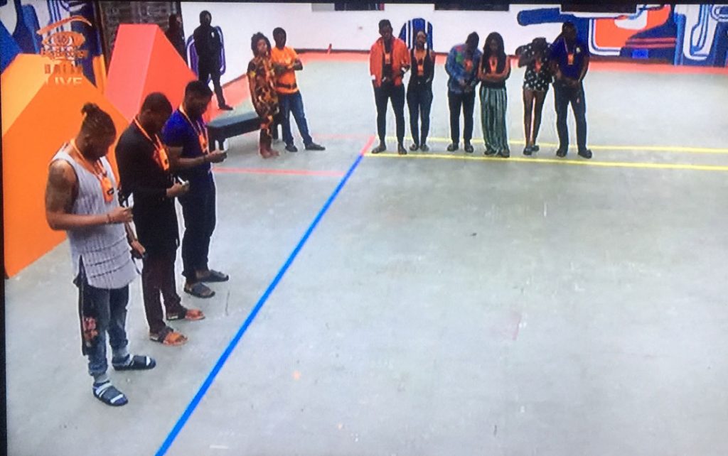 BBNaija Housemates