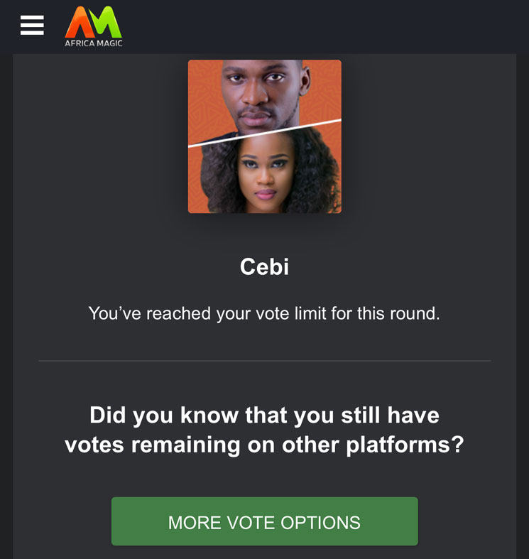 BBNaija, how to vote