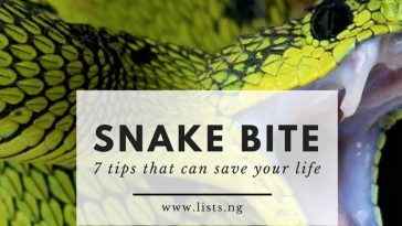 remedy for Snake bites