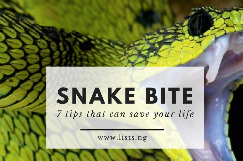 remedy for Snake bites