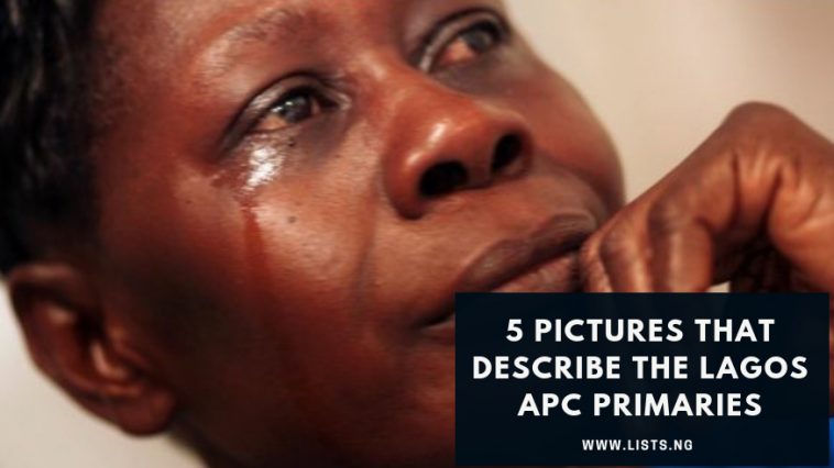 Lagos APC Primaries, Ambode, San-Wolu, Tinubu