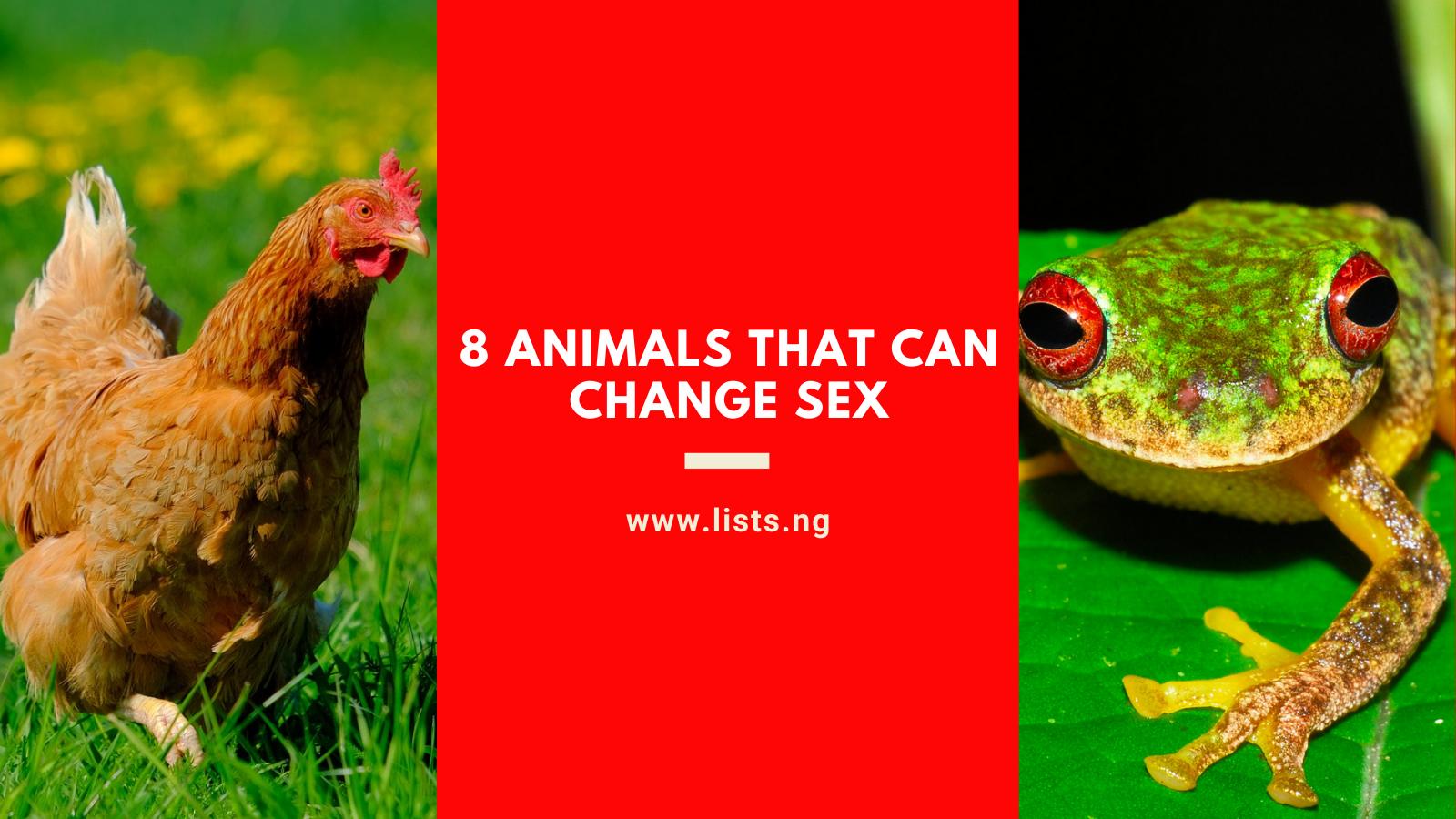 8 Animals That Can change Sex – Lists.ng