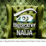 6 Things You’ll See in Big Brother Naija Season 9: Fresh Twists, New Faces And More