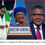 Naija Excellence: 10 Nigerians Who Made Global Impact in 2024