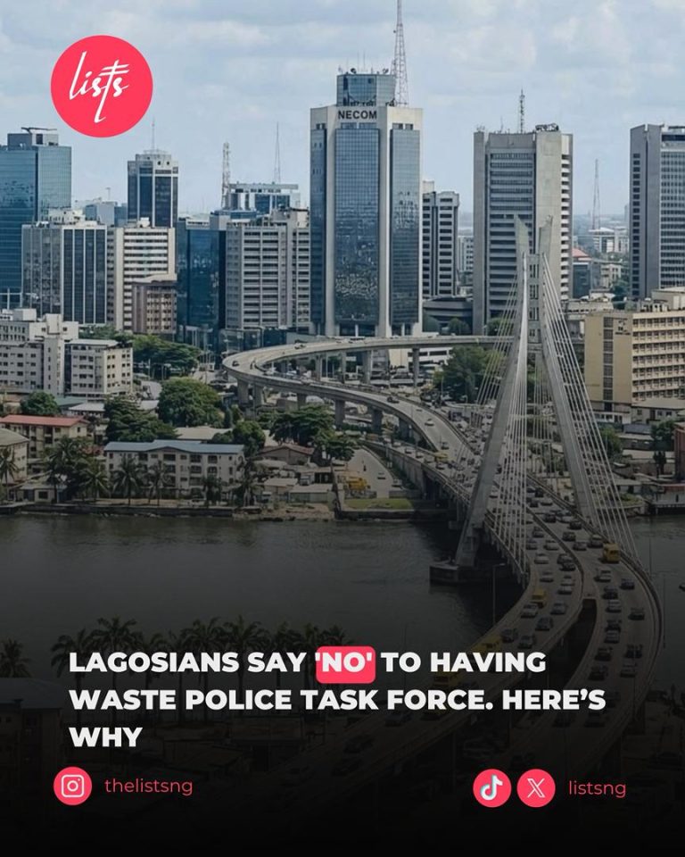 Lagosians say ‘NO’ To Having Waste Police Task Force. Here’s Why